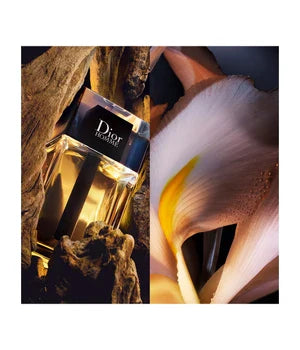Dior Homme Eau de Toilette 100ml - Perfumerie X