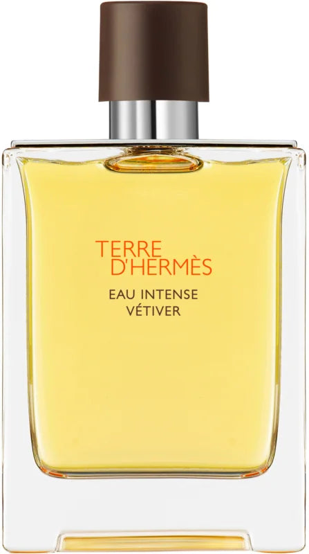 Hermès Terre D&#39;Hermès Eau Intense Vetiver Eau de Parfum 100 ml - Perfumerie X